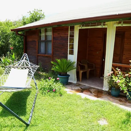 Tunays Pansiyon بيت للعطل Çıralı