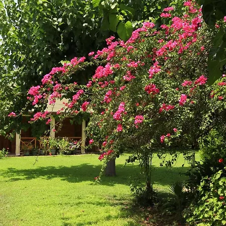 Tunays Pansiyon בית נופש Çıralı