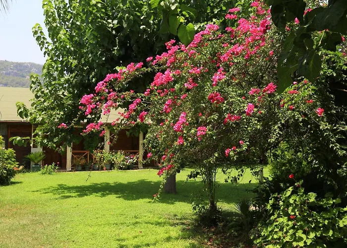 Tunays Pansiyon Ferienhaus Çıralı